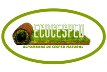 Ecocesped